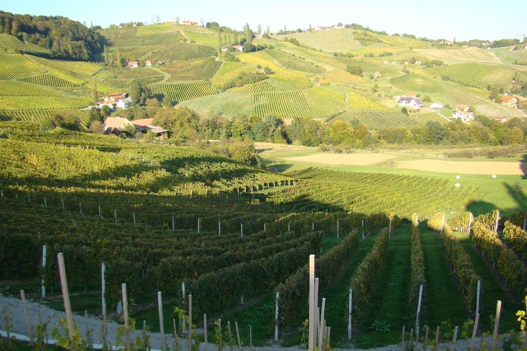 Farm Stay Jarc Vineyard Svecina المظهر الخارجي الصورة