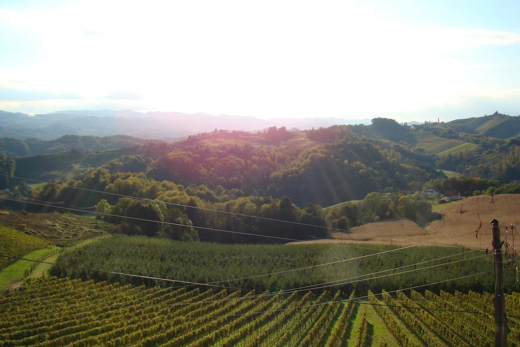 Farm Stay Jarc Vineyard Svecina المظهر الخارجي الصورة