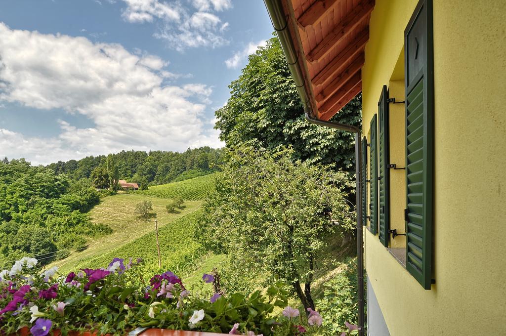 Farm Stay Jarc Vineyard Svecina المظهر الخارجي الصورة