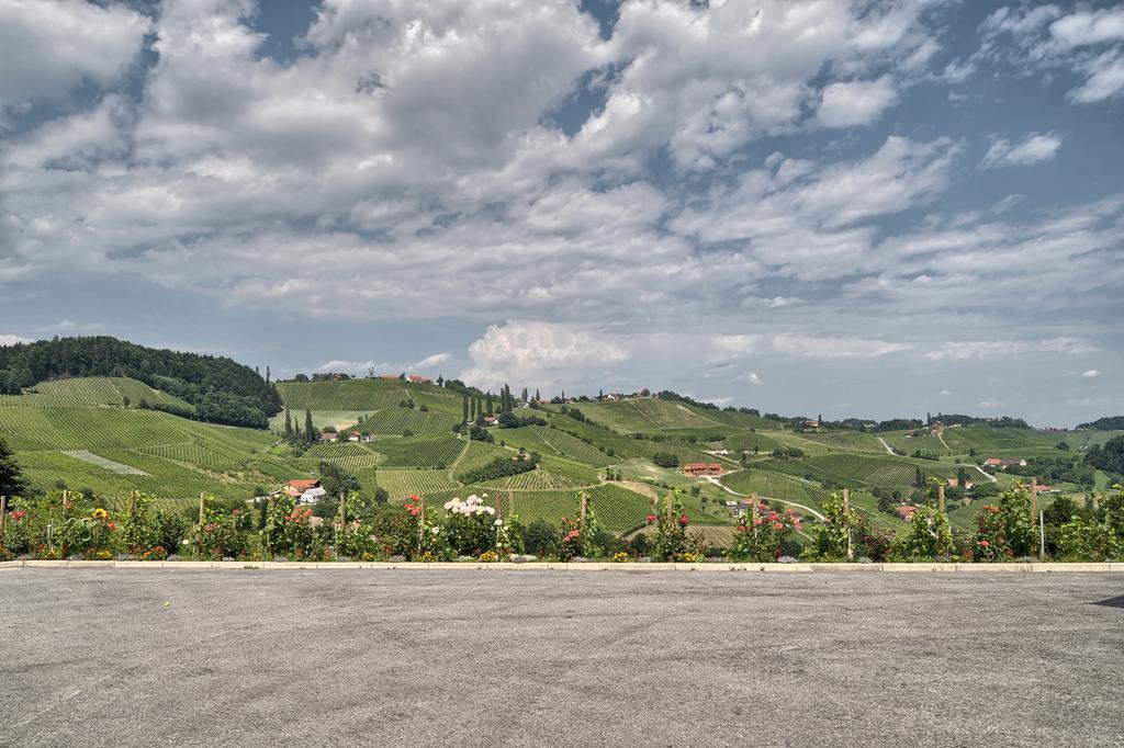 Farm Stay Jarc Vineyard Svecina المظهر الخارجي الصورة