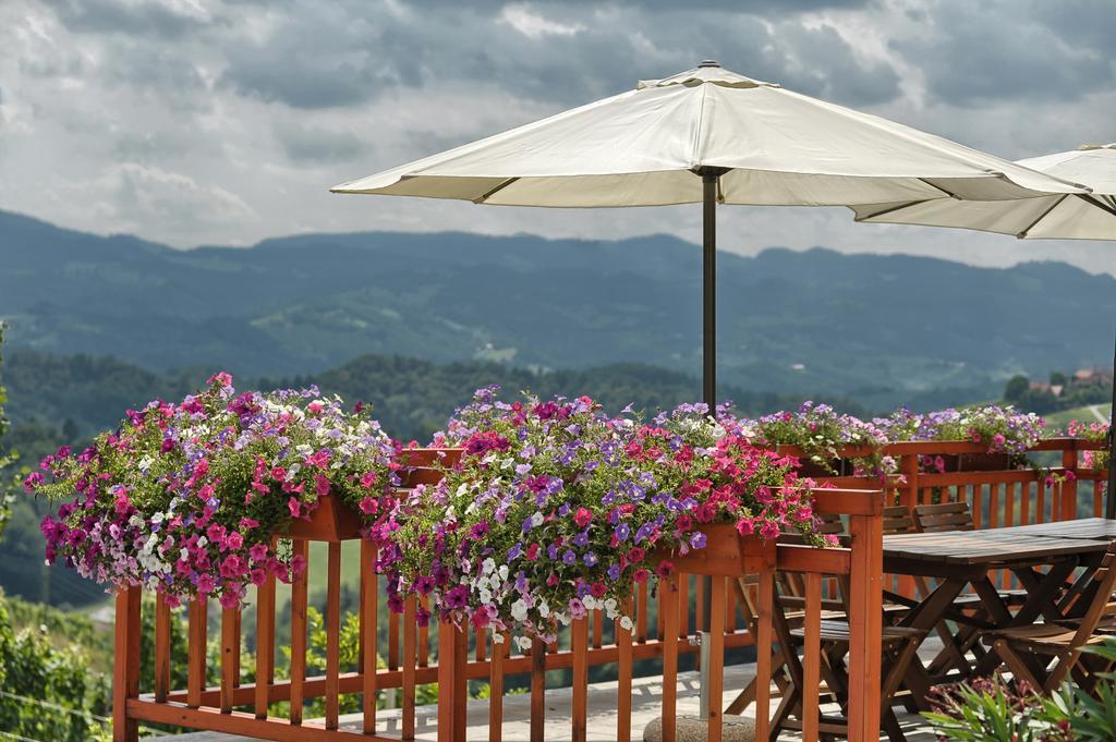 Farm Stay Jarc Vineyard Svecina المظهر الخارجي الصورة