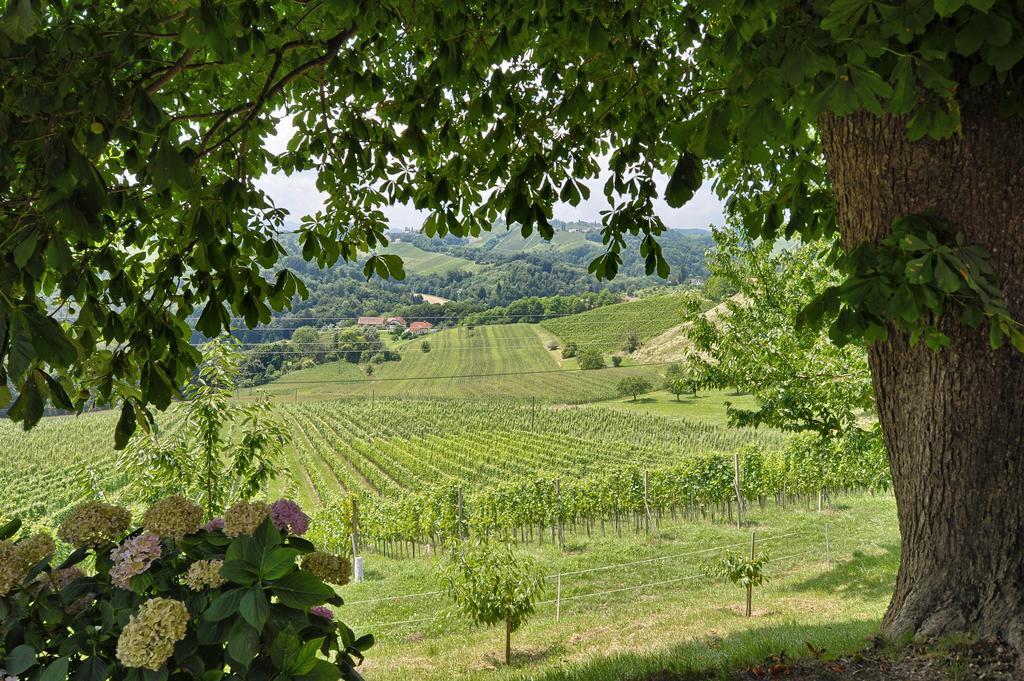 Farm Stay Jarc Vineyard Svecina المظهر الخارجي الصورة