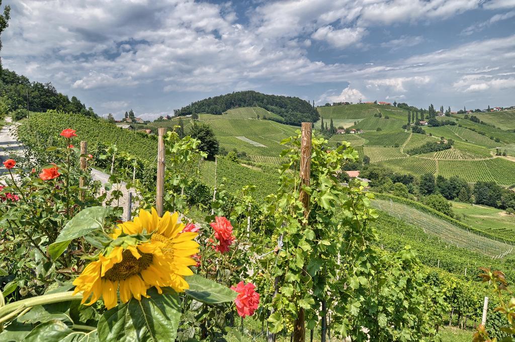 Farm Stay Jarc Vineyard Svecina المظهر الخارجي الصورة