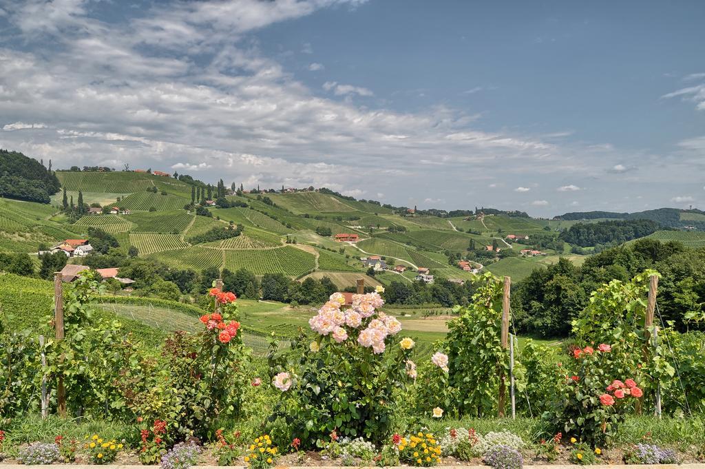 Farm Stay Jarc Vineyard Svecina المظهر الخارجي الصورة