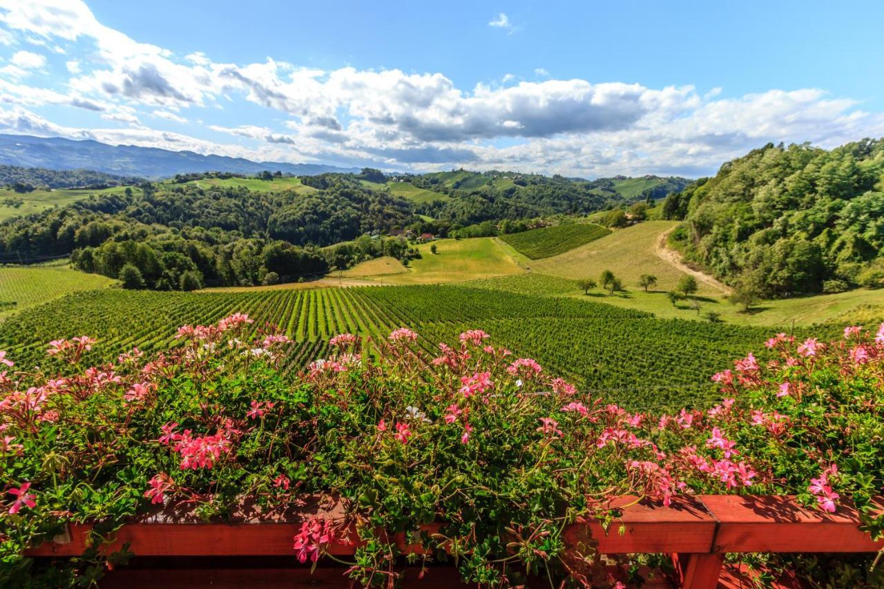 Farm Stay Jarc Vineyard Svecina المظهر الخارجي الصورة