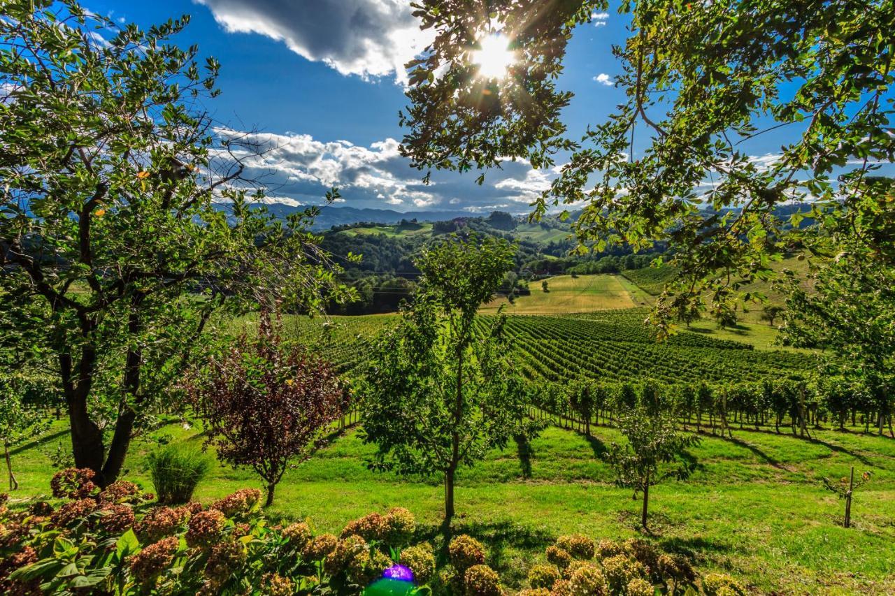 Farm Stay Jarc Vineyard Svecina المظهر الخارجي الصورة